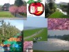 Billede 15