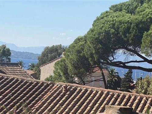 Ferienhaus - 10 Personen -  - 83400 - Hyeres