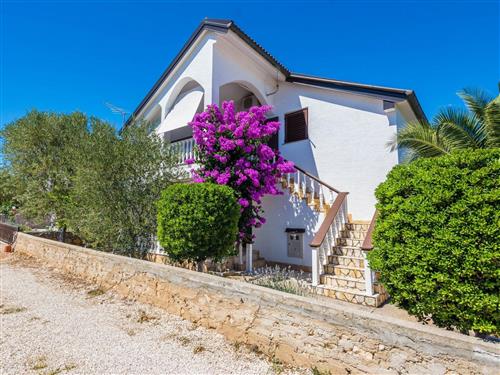 Ferielejlighed - 4 personer -  - Vir - 23234