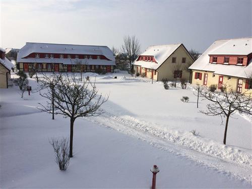 Ferienhaus - 4 Personen -  - Nonnevitz 25 a-b - 18556 - Dranske / Bakenberg