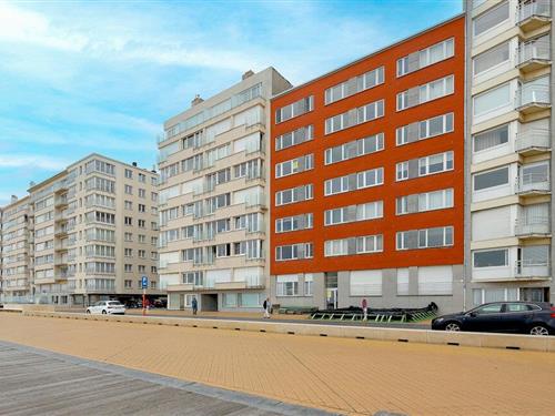 Holiday apartment - 5 persons -  - Zeedijk 124 - - 8400 - Oostende