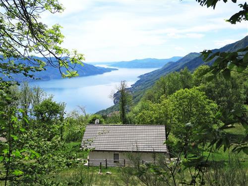 Ferienhaus - 4 Personen -  - Cannero Riviera - 28826