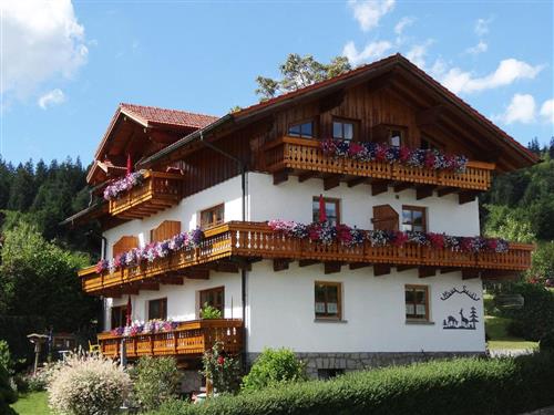 Ferielejlighed - 2 personer -  - Rechensöldenweg - 94249 - Bodenmais