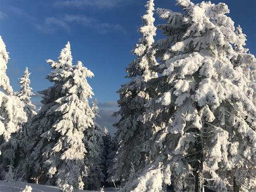 Feriehus / leilighet - 2 personer -  - Ferienpark - 95192 - Lichtenberg