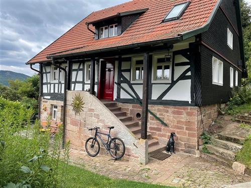 Feriehus - 7 personer -  - Schachen - 36129 - Gersfeld