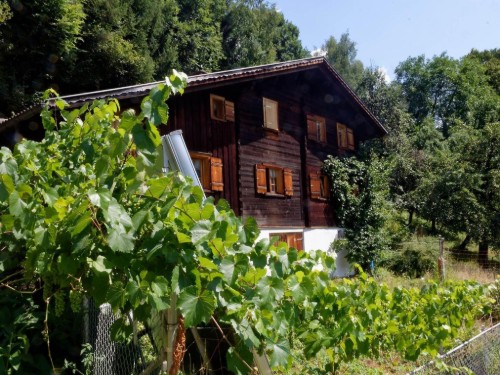 Holiday apartment - 6 persons -  - Grünerwaldweg - 6781 - Bartholomäberg