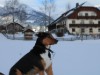 Bilde 3