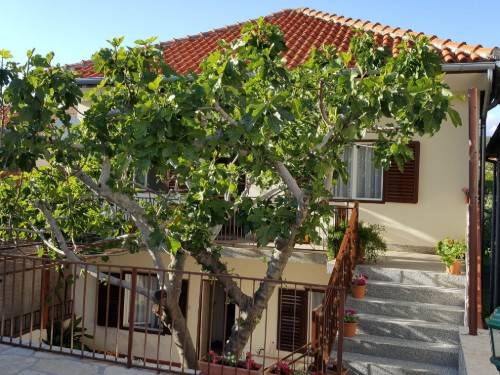 Ferielejlighed - 7 personer -  - Zvonka Bušica Taika - 23242 - Posedarje