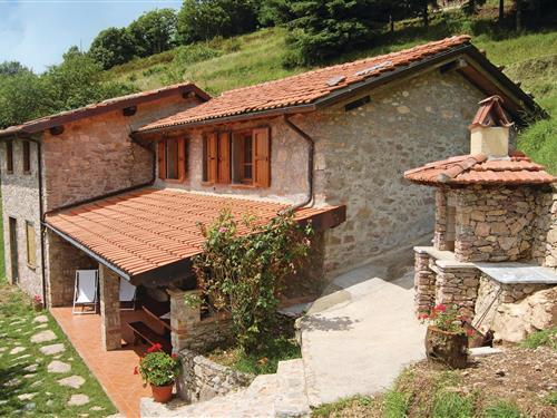 Sommerhus - 4 personer -  - Via Falcioli, Fraz. Metato - Metato - 55041 - Camaiore Lu