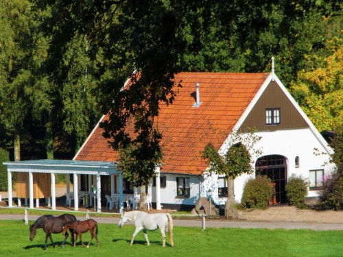 Chalet - 4 personer -  - 7631CJ - Ootmarsum