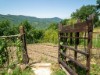 Image 26 - Outside