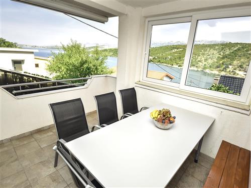 Ferienhaus - 6 Personen -  - Novigrad (Zadar) - 23450