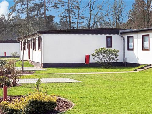 Sommerhus - 6 personer -  - Oberohe - Faßberg - 29328 - Faßberg/Heidesee