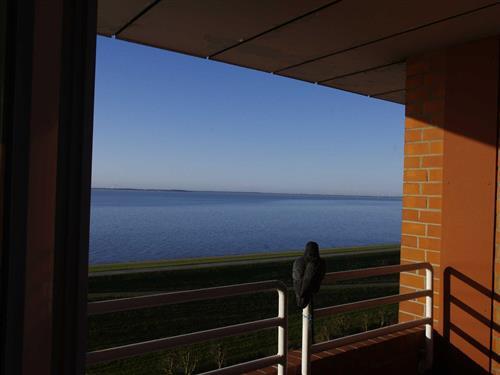 Ferienwohnung - 2 Personen -  - Südstrand - 26382 - Wilhelmshaven