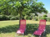 Bild 16 - Ude