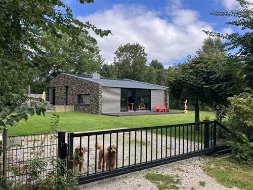 Feriehus / leilighet - 6 personer -  - Ameland - 9161 CT