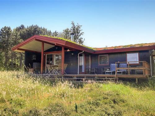 Sommerhus - 6 personer -  - Højemøllevej - 8592 - Anholt