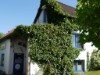 Bild 27 - Ude