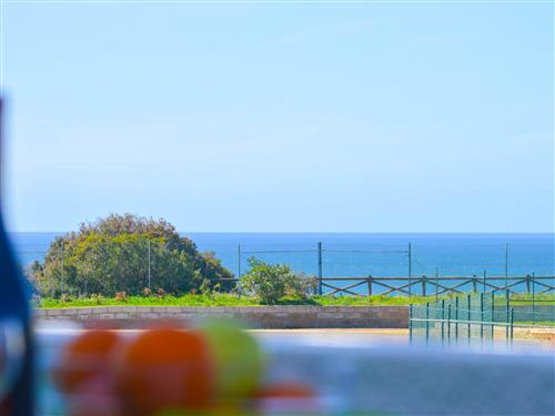 Ferielejlighed - 4 personer -  - Carvoeiro - 8400