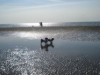 Image 32