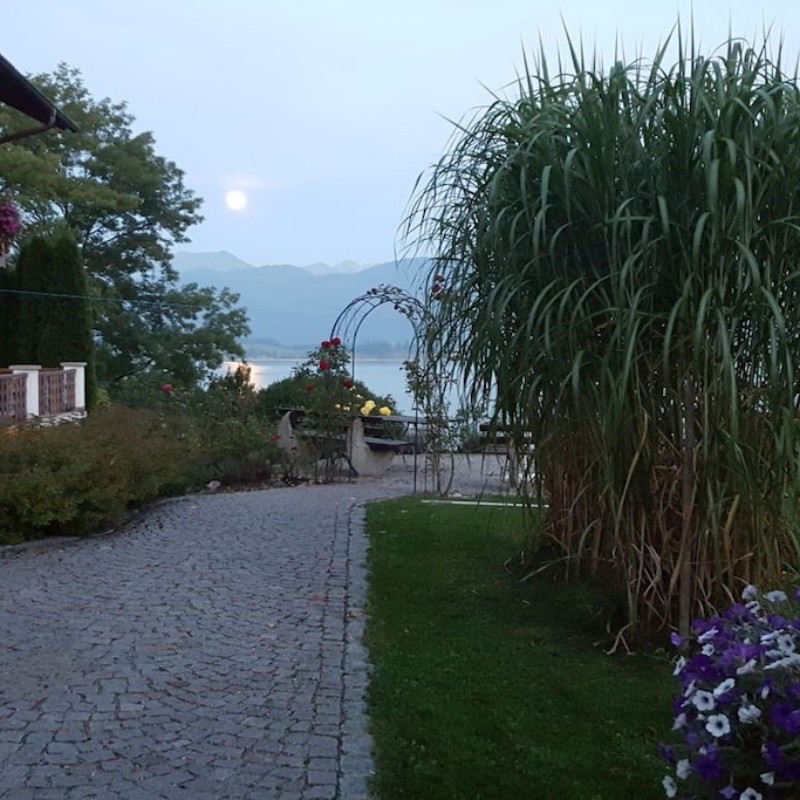 Sommerhus - 4 personer -  - 87669 - Rieden- Osterreinen
