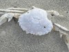 Bild 17