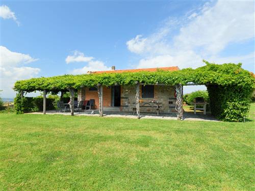 Ferienhaus - 6 Personen -  - Scansano - 58050