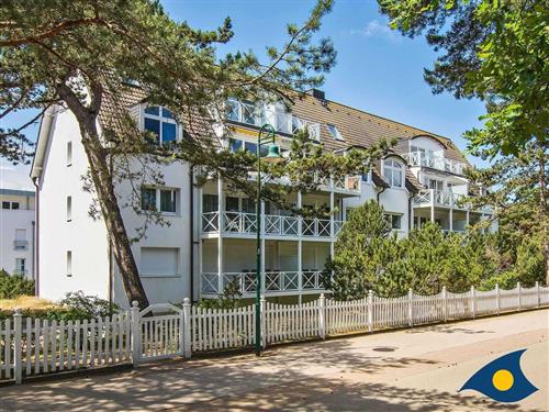 Feriesenter - 3 personer -  - Maxim-Gorki-Strasse - 17424 - Heringsdorf (Seebad)