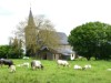 Bild 24