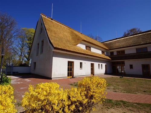 Ferieleilighet - 6 personer -  - Alt Reddevitz - 18586 - Mönchgut