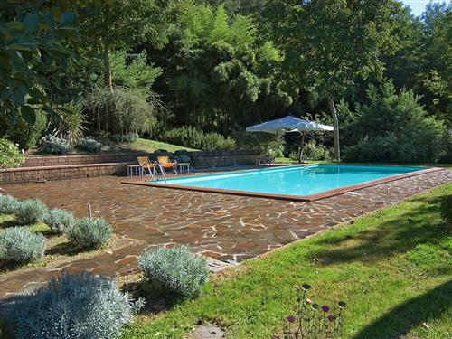 Ferieleilighet - 2 personer -  - Castel Cellesi - 01020