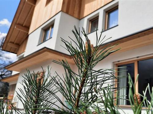 Fritidshus - 4 personer -  - 39040 - Villnöss