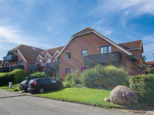 Ferielejlighed - 4 personer -  - An der Aue - 23747 - Dahme