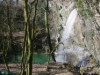 Bilde 29