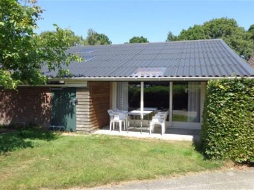 Feriehus / leilighet - 4 personer -  - 8428HG - Fochteloo