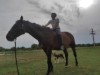 Billede 27