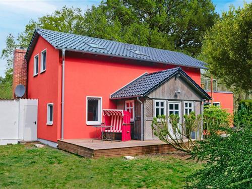 Ferienwohnung - 4 Personen -  - Ausbau - 17449 - Trassenheide - Ostsee