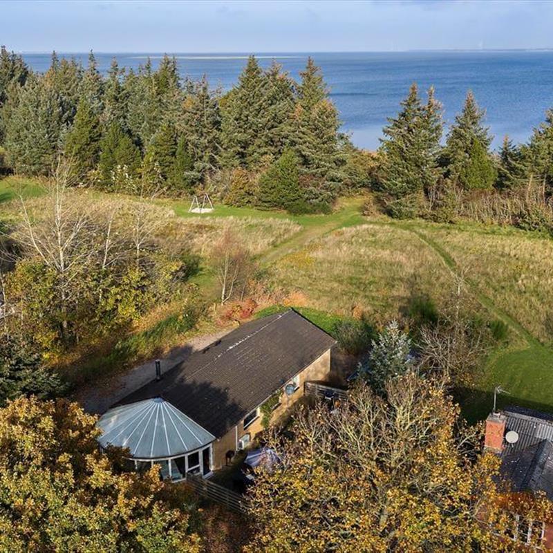 Ferienhaus - 6 Personen -  - Røllikevej - Nörhede - 6990 - Ulfborg