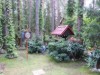 Bild 15