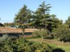 Bilde 35