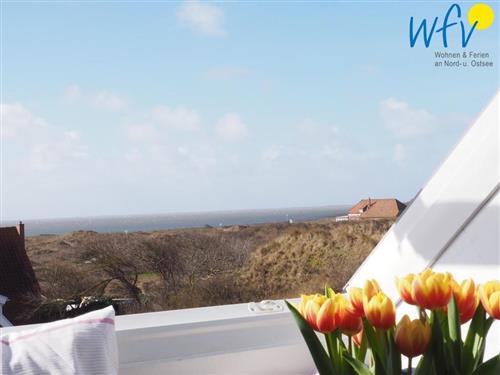 Ferieleilighet - 4 personer -  - Hammerseestr. - 26571 - Juist