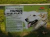 Billede 45