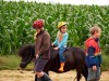Bild 14