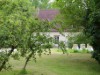 Image 20