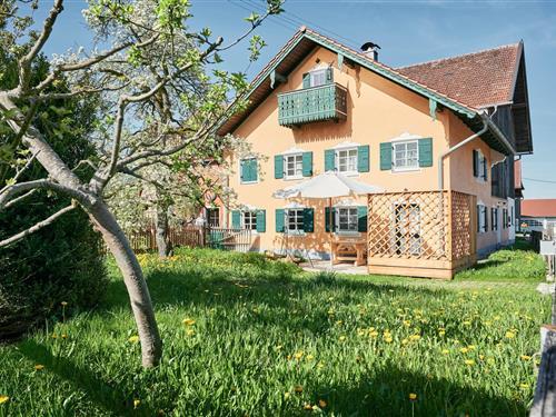 Ferielejlighed - 3 personer -  - Hofen - 86971 - Peiting