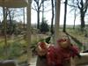 Bild 17