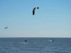 Bild 19