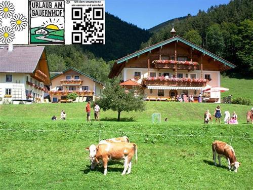 Bauernhof - 6 persons -  - Ramsaustraße - 5324 - Faistenau