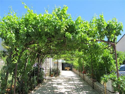 Værelse - 2 personer -  - Dracevac - 52440