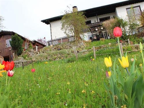 Ferieleilighet - 4 personer -  - Hopfengartenweg - 94065 - Waldkirchen